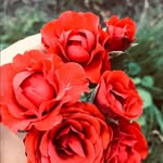@edward_gresham_10 - Instagram