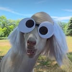 Edward Gress - @gress_edward - Instagram