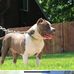 Edward Grier - Facebook