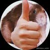 Edward Grillo - @edward.grillo - TikTok