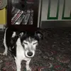 Edward Shedz Grimmer - @edward.shedz.grim - TikTok