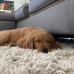 @edward.guay - Instagram