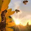 Edward Guayacundo - @edward.guayacundo - TikTok