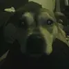 edward gude - @ms.lillian27 - TikTok