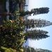 Port Edward Windsor Guest House - Facebook