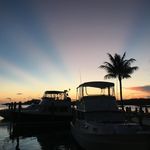 Edward Gustafson - @edwardgustafson - Instagram