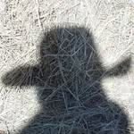 Edward Hamlin - @hamlinedward - Instagram
