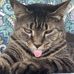 Edward Hamlin - Facebook