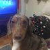 Edward Hanlon - Facebook
