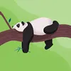 Edward Hanlon - @edward.hanlon - TikTok