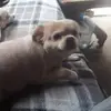 Edward Hannah - @edward.hannah1 - TikTok