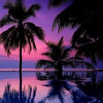 edward hans - @edwardhans - Instagram