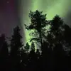 edwardharlin - @edwardharlin - TikTok