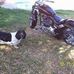 Edward Hartz - Facebook