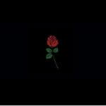 Edward Hashem - @_._edward_._3 - Instagram