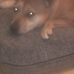 Edward Haswell - Facebook