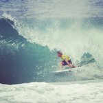 Edward Hawley - @goldengoup - Instagram