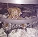 Eddie Haymore - Facebook