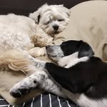 Edward Healey - @boocho69 - Instagram