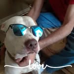 Edward Heaton Sr. - @edwardheatonzr - Instagram