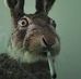 Edward Heeke - Facebook