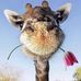 Edward Hoar - Facebook