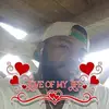 kenedwardhercules - @kenedwardhercules - TikTok