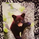 Edward Herrick - @edward.herrick.756 - Instagram