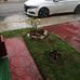 Edward Herdez - Facebook