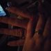 Edward Hertzog - Facebook