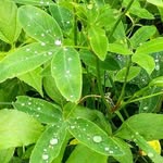 Edward Hodges - @edwardhodges457 - Instagram