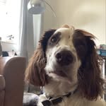 Samuel Edward Holder - @samueledwood - Instagram