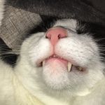 philip edward holtz - @philipedwardholt - Instagram