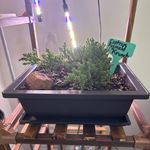 Edward Huber - @grumpyoldmanplants - Instagram