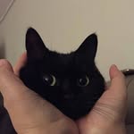 Из жизни одного инквизитора - @edward_huedward - Instagram