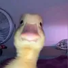 Edward Hurd - @edwardhurd514 - TikTok