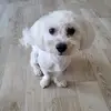 Edward Hutton - @edward.hutton0 - TikTok