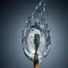 Edward_Jaeger - @edward_jaeger - TikTok