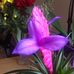 Edward Janzen - Facebook