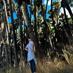 Edward Jarman - @yamagavipera1 - Instagram