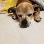 Edward Jasso - @sequoia2000_2002 - Instagram