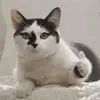 user3087641222024 - @edwardjianwen - TikTok