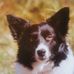 Edward Johnstone - Facebook