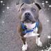Eddie Joiner - Facebook