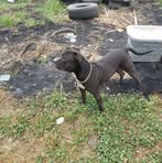 Edward Joiner - Facebook