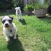 Eddie Jukes - Facebook