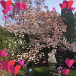 Edward V. Jurkowski - @jurkowskiedward - Instagram