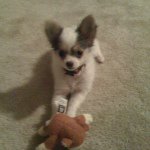 Edward Kahn - @doc7500 - Instagram