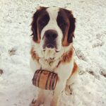 Edward Abbey Kaminsky - @durangosaint - Instagram