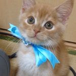 edwardkats - @edwardkats - Instagram